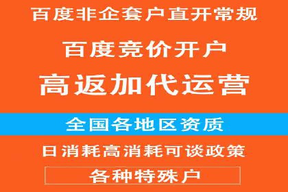 行业领先企业的SEM开户成功案例